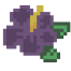 black daisy